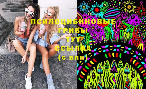 PSILOCYBIN Алзамай