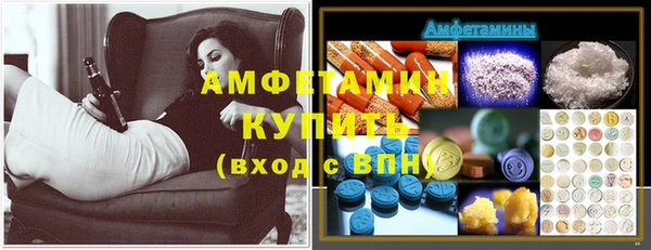 PSILOCYBIN Алзамай