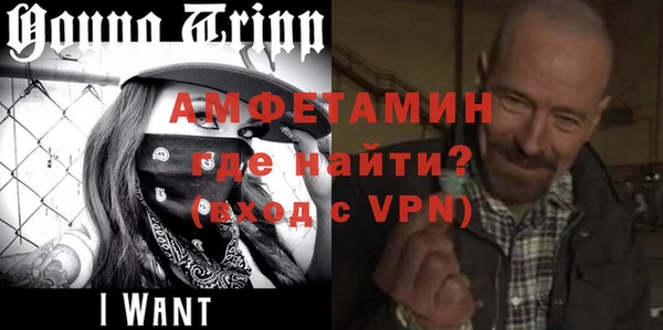 прущие грибы Рославль