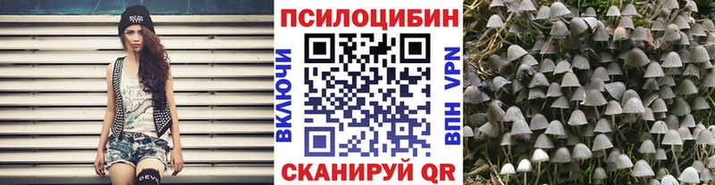 Псилоцибиновые грибы MAGIC MUSHROOMS Злынка