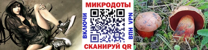 Галлюциногенные грибы GOLDEN TEACHER  купить закладку  МЕГА как войти  даркнет состав  Злынка 